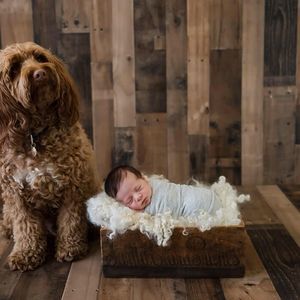 Meet your Posher, Denise